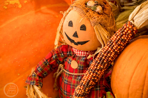2016 Halloween Parade